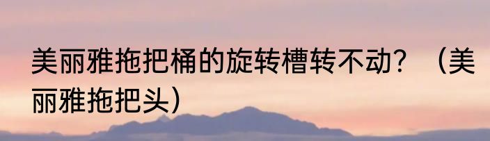 美丽雅拖把桶的旋转槽转不动？（美丽雅拖把头）