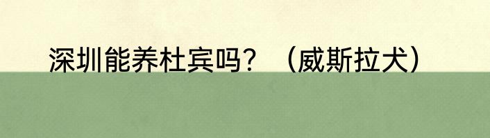 深圳能养杜宾吗？（威斯拉犬）