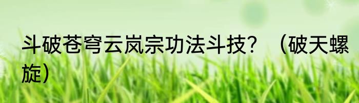 斗破苍穹云岚宗功法斗技？（破天螺旋）