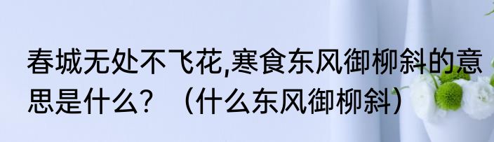 春城无处不飞花,寒食东风御柳斜的意思是什么？（什么东风御柳斜）