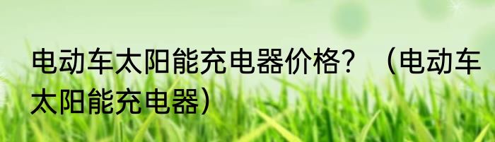 电动车太阳能充电器价格？（电动车太阳能充电器）