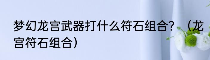 梦幻龙宫武器打什么符石组合？（龙宫符石组合）