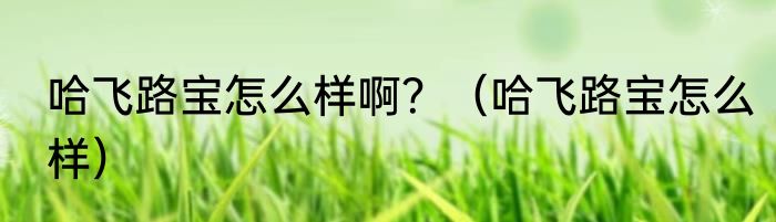 哈飞路宝怎么样啊？（哈飞路宝怎么样）
