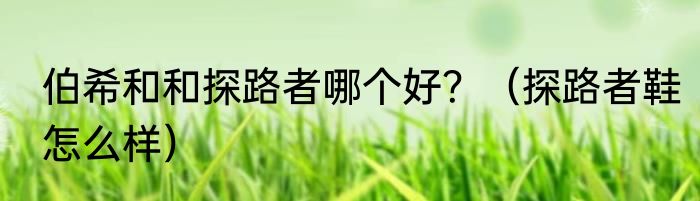 伯希和和探路者哪个好？（探路者鞋怎么样）