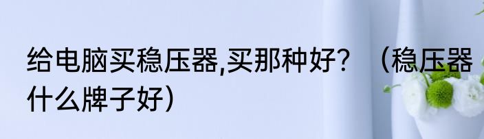 给电脑买稳压器,买那种好？（稳压器什么牌子好）