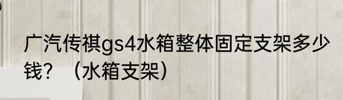 广汽传祺gs4水箱整体固定支架多少钱？（水箱支架）