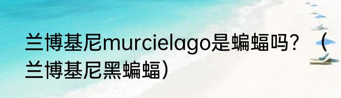兰博基尼murcielago是蝙蝠吗？（兰博基尼黑蝙蝠）