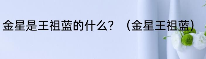 金星是王祖蓝的什么？（金星王祖蓝）