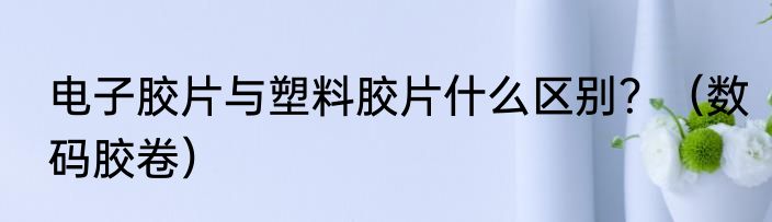 电子胶片与塑料胶片什么区别？（数码胶卷）