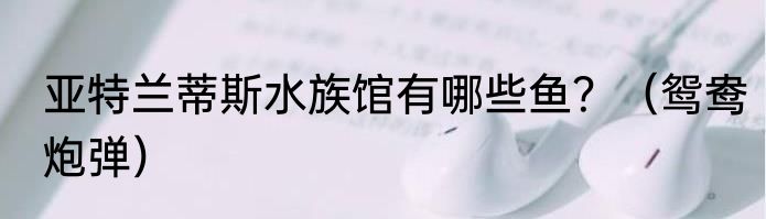 亚特兰蒂斯水族馆有哪些鱼？（鸳鸯炮弹）