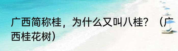 广西简称桂，为什么又叫八桂？（广西桂花树）