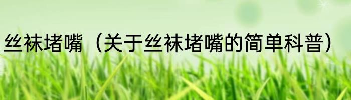 丝袜堵嘴（关于丝袜堵嘴的简单科普）