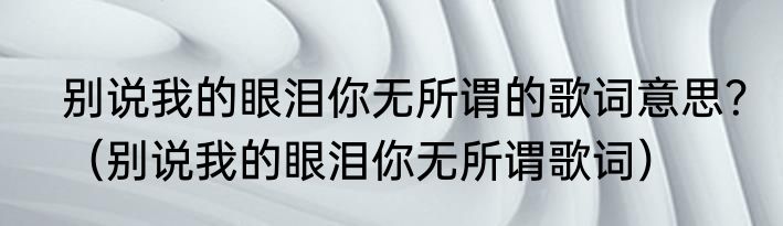别说我的眼泪你无所谓的歌词意思？（别说我的眼泪你无所谓歌词）