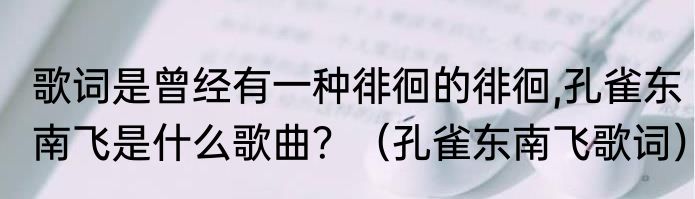 歌词是曾经有一种徘徊的徘徊,孔雀东南飞是什么歌曲？（孔雀东南飞歌词）