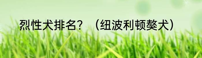 烈性犬排名？（纽波利顿獒犬）