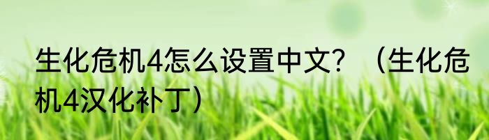 生化危机4怎么设置中文？（生化危机4汉化补丁）