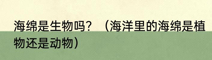 海绵是生物吗？（海洋里的海绵是植物还是动物）