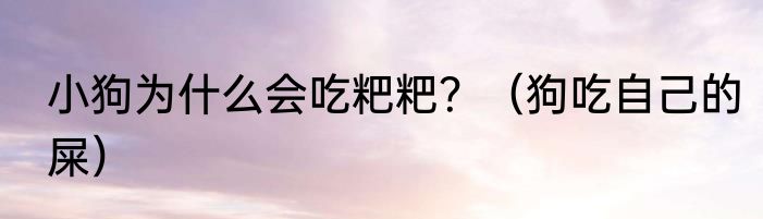 小狗为什么会吃粑粑？（狗吃自己的屎）