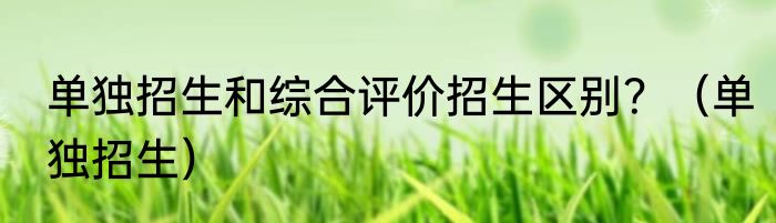 单独招生和综合评价招生区别？（单独招生）