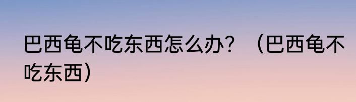 巴西龟不吃东西怎么办？（巴西龟不吃东西）
