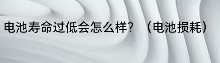 电池寿命过低会怎么样？（电池损耗）