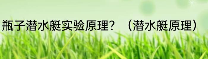 瓶子潜水艇实验原理？（潜水艇原理）
