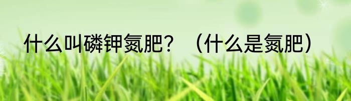 什么叫磷钾氮肥？（什么是氮肥）