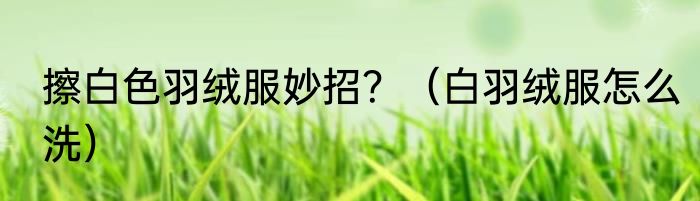 擦白色羽绒服妙招？（白羽绒服怎么洗）