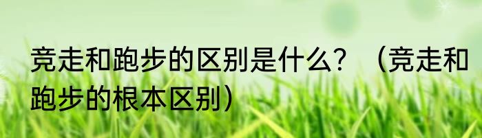 竞走和跑步的区别是什么？（竞走和跑步的根本区别）