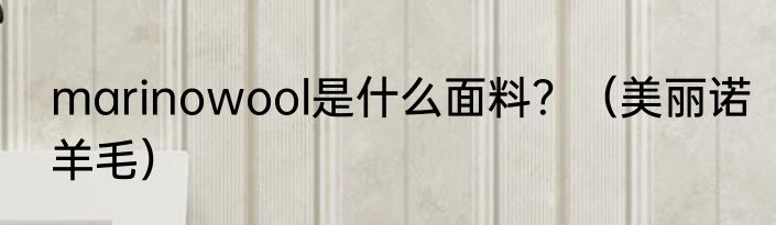 marinowool是什么面料？（美丽诺羊毛）