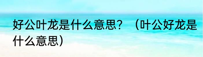 好公叶龙是什么意思？（叶公好龙是什么意思）