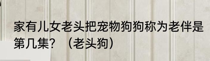 家有儿女老头把宠物狗狗称为老伴是第几集？（老头狗）