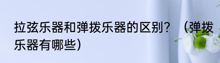 拉弦乐器和弹拨乐器的区别？（弹拨乐器有哪些）