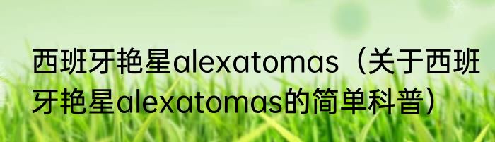 西班牙艳星alexatomas（关于西班牙艳星alexatomas的简单科普）