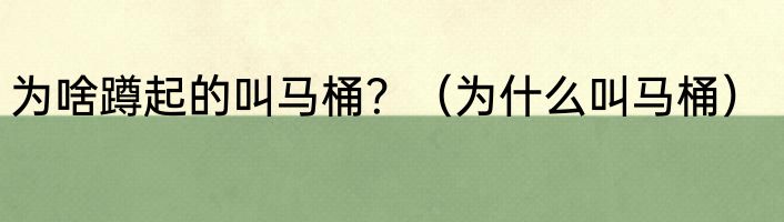 为啥蹲起的叫马桶？（为什么叫马桶）