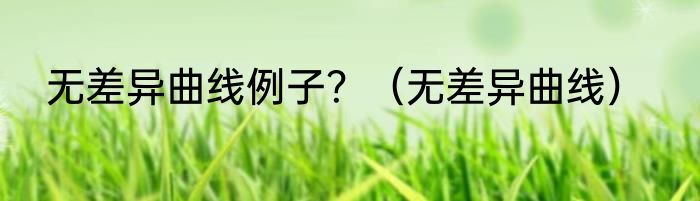 无差异曲线例子？（无差异曲线）