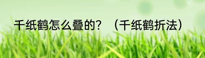 煎牛排最正宗的做法？（如何煎牛排）