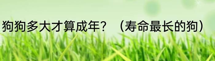 狗狗多大才算成年？（寿命最长的狗）