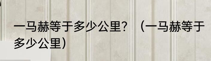一马赫等于多少公里？（一马赫等于多少公里）
