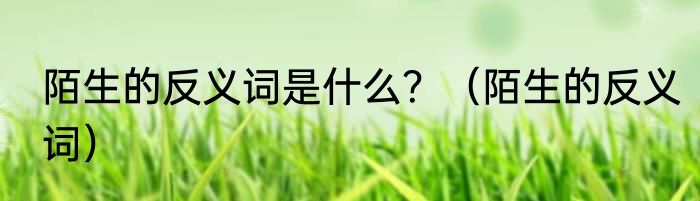 陌生的反义词是什么？（陌生的反义词）