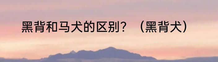 黑背和马犬的区别？（黑背犬）