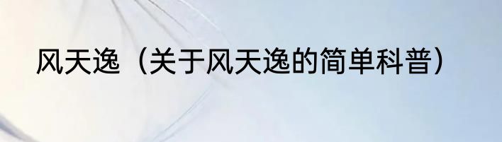 风天逸（关于风天逸的简单科普）