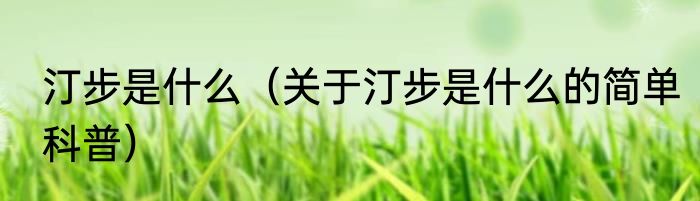 汀步是什么（关于汀步是什么的简单科普）