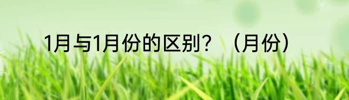 1月与1月份的区别？（月份）