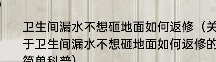 卫生间漏水不想砸地面如何返修（关于卫生间漏水不想砸地面如何返修的简单科普）