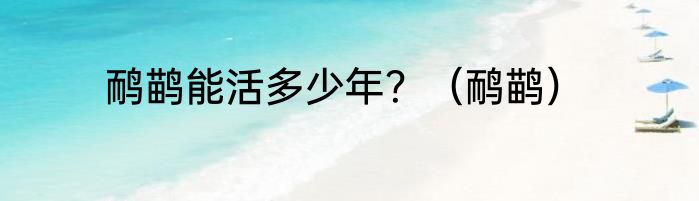 鸸鹋能活多少年？（鸸鹋）