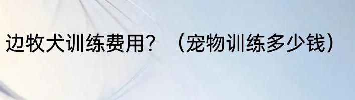 边牧犬训练费用？（宠物训练多少钱）