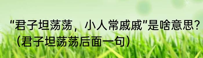 “君子坦荡荡，小人常戚戚”是啥意思？（君子坦荡荡后面一句）