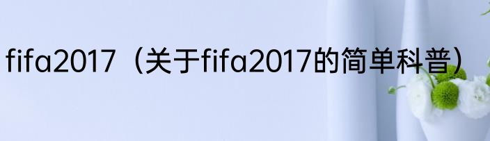 fifa2017（关于fifa2017的简单科普）