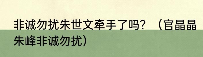 非诚勿扰朱世文牵手了吗？（官晶晶朱峰非诚勿扰）